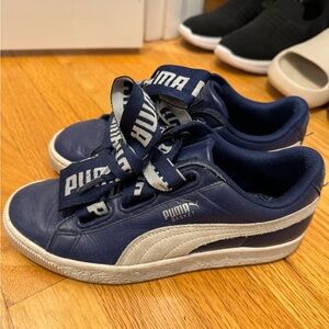 Blue Pumas